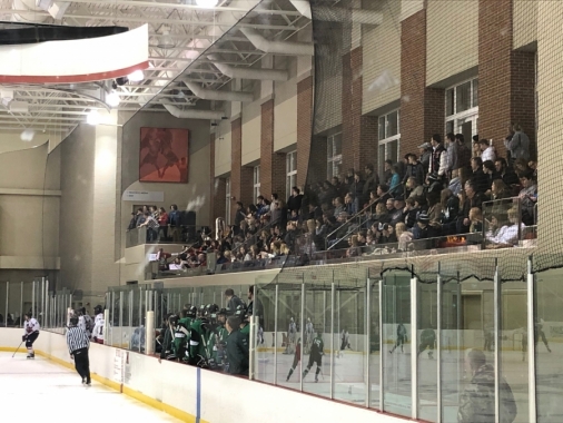 Hockey Crowd